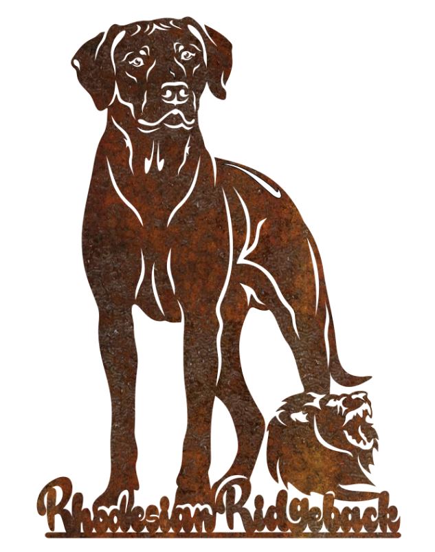 Schild Ridgeback mit Löwe und Schriftzug Höhe 40 cm Edelstahlschild