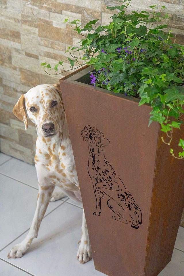 Blumenkübel Motiv Dalmatiner Roststahl Höhe 75 cm