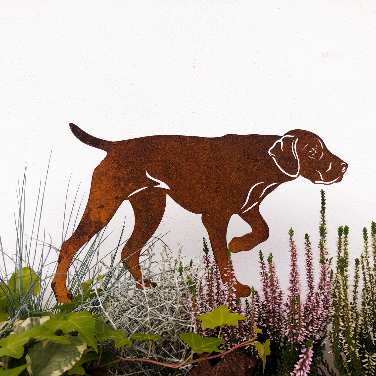 Edelstahlfigur Deutsch Kurzhaar Gartenfigur Breite 90 cm Edelstahl (rostet nicht) mit Kantung zum hinstellen