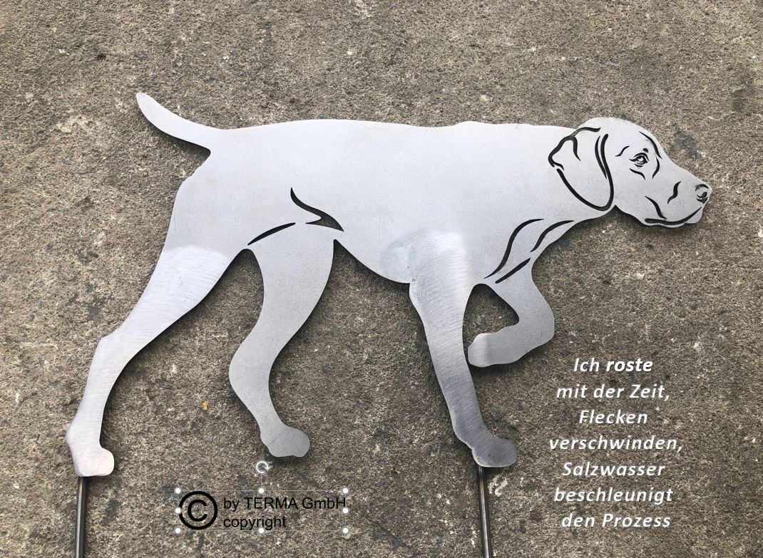 Rostfigur Deutsch Kurzhaar Edelrost Hund Höhe 30 cm (Rost) mit Spieß