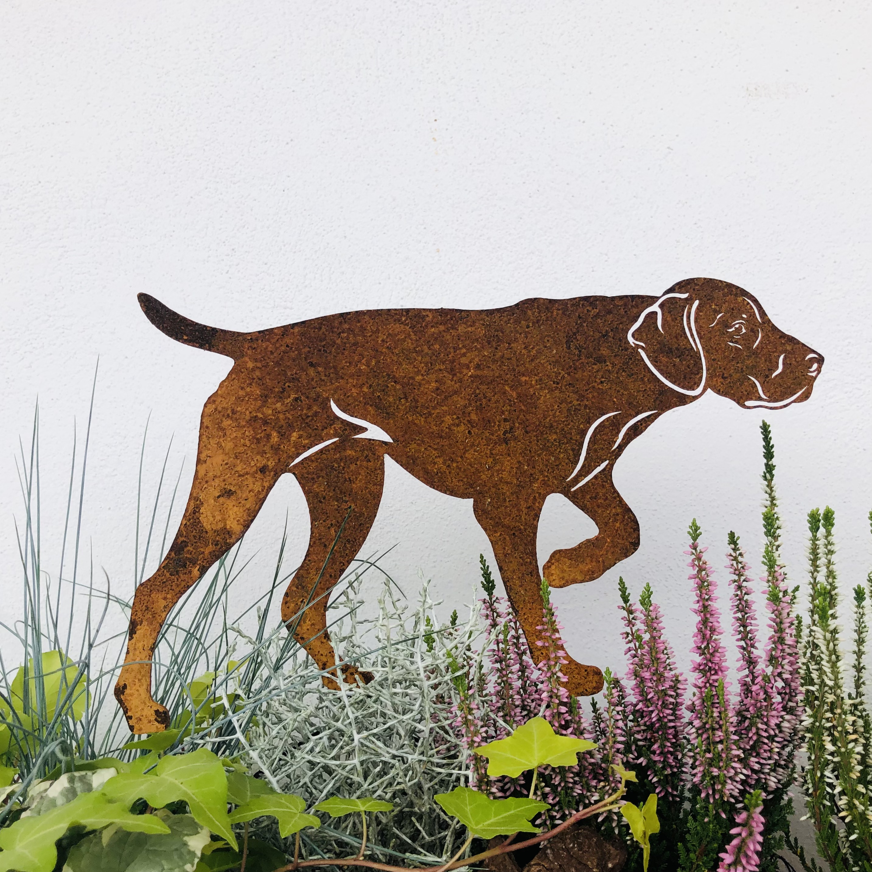Rostfigur Deutsch Kurzhaar Edelrost Hund Höhe 30 cm (Rost) mit Spieß