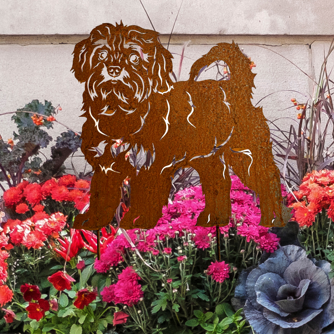 Rostfigur Hund Bolonka Zwetna Höhe 50 cm mit Bodenplatte massiv